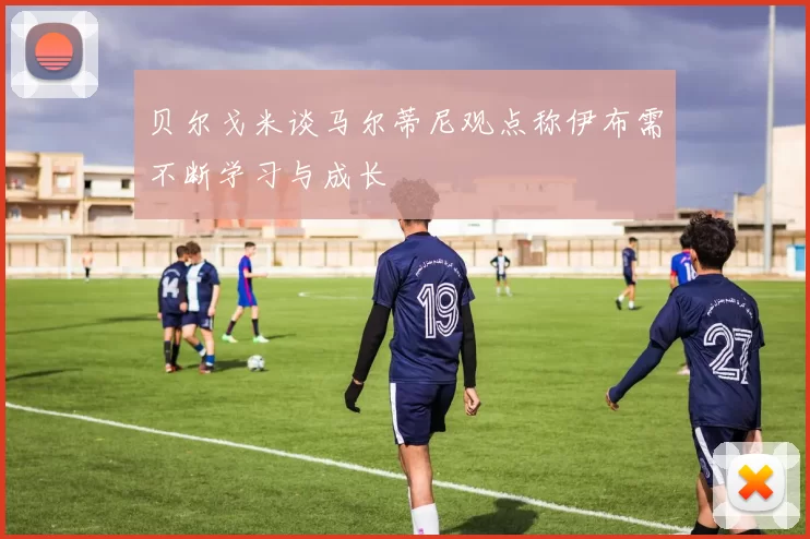 贝尔戈米谈马尔蒂尼观点称伊布需不断学习与成长