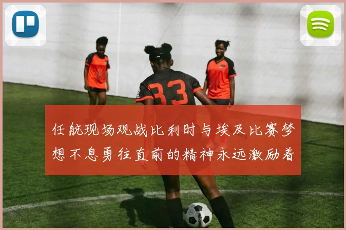 任航现场观战比利时与埃及比赛梦想不息勇往直前的精神永远激励着我们